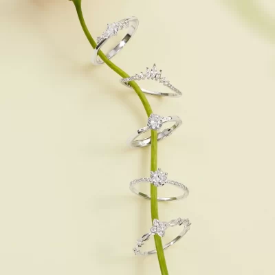 4. Sứ mệnh của Moonlight Charm